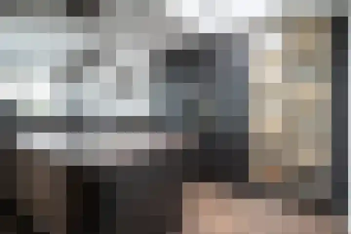 Schildmos 16 Bergschenhoek thumbnail 14
