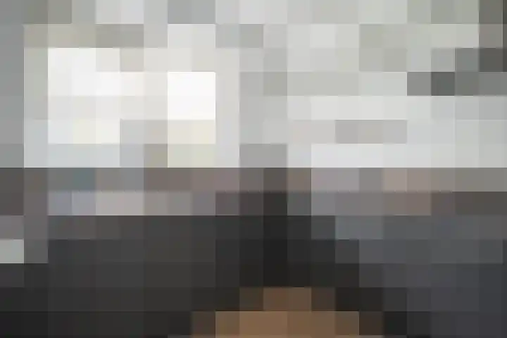 Schildmos 16 Bergschenhoek thumbnail 18