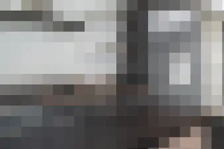 Schildmos 16 Bergschenhoek thumbnail 19