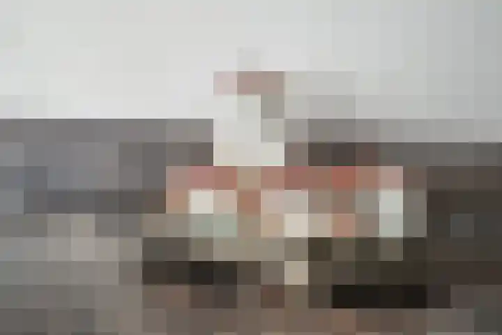 Schildmos 16 Bergschenhoek thumbnail 20