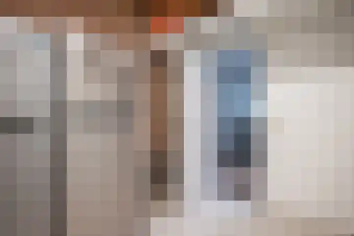 Schildmos 16 Bergschenhoek thumbnail 22