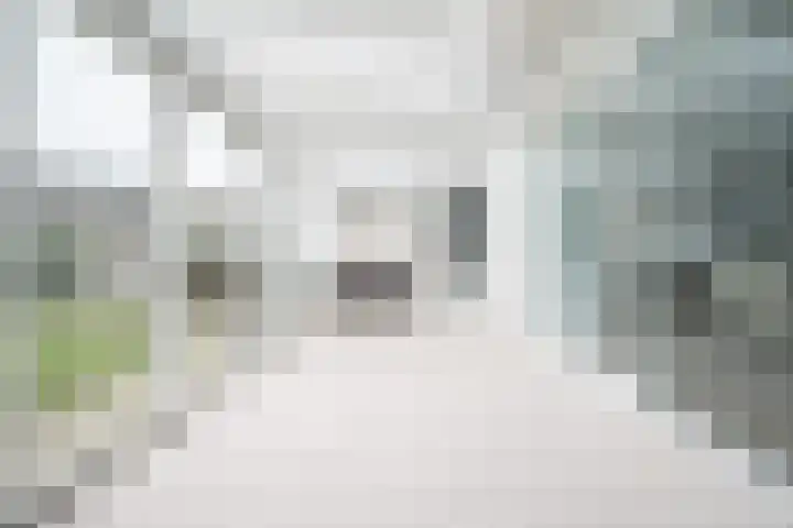 Schildmos 16 Bergschenhoek thumbnail 24