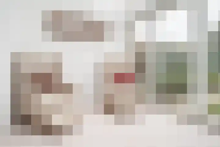 Schildmos 16 Bergschenhoek thumbnail 25