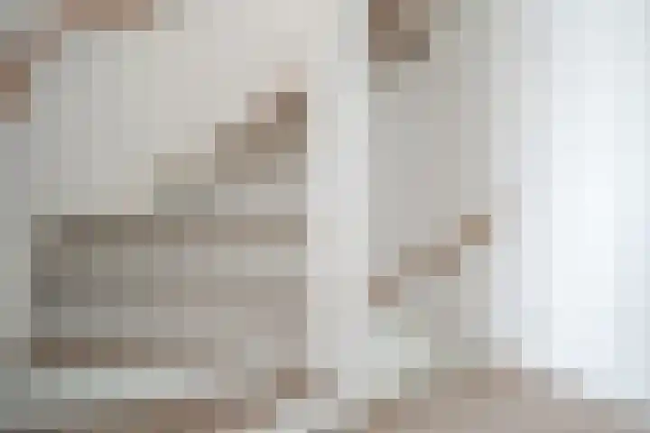 Schildmos 16 Bergschenhoek thumbnail 26