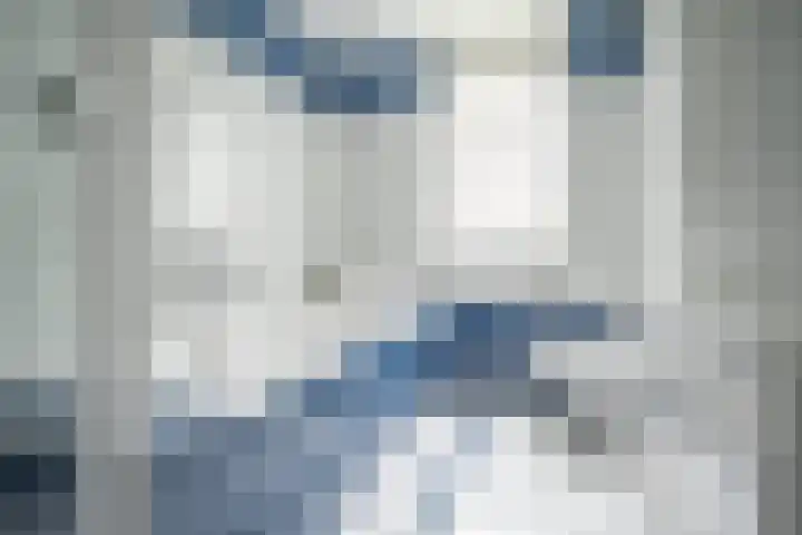 Schildmos 16 Bergschenhoek thumbnail 27