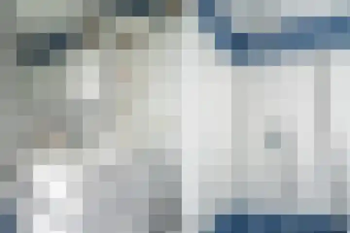 Schildmos 16 Bergschenhoek thumbnail 28