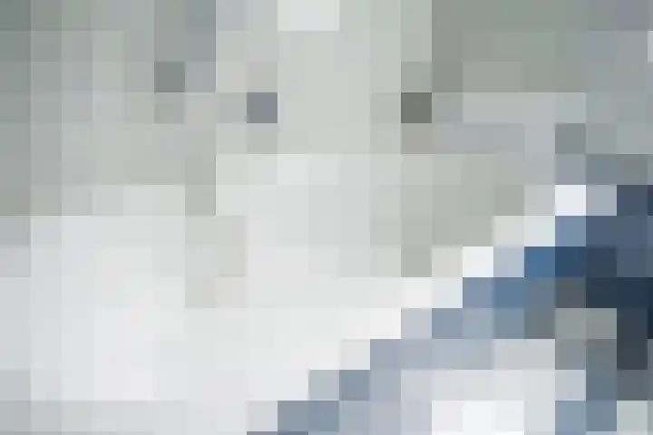 Schildmos 16 Bergschenhoek thumbnail 29
