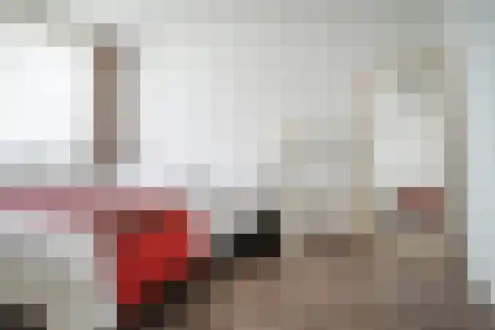 Schildmos 16 Bergschenhoek thumbnail 30