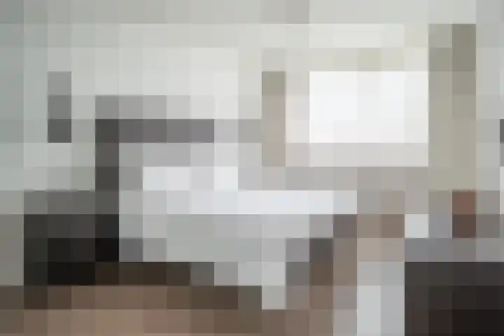 Schildmos 16 Bergschenhoek thumbnail 33