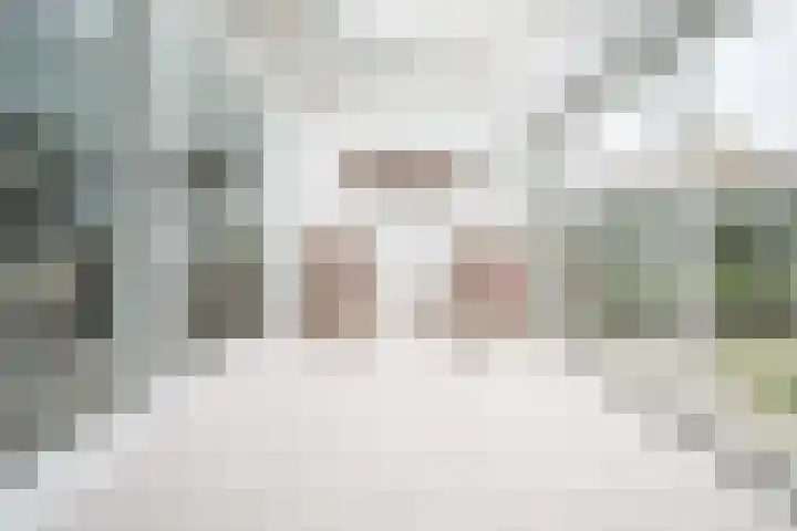 Schildmos 16 Bergschenhoek thumbnail 4