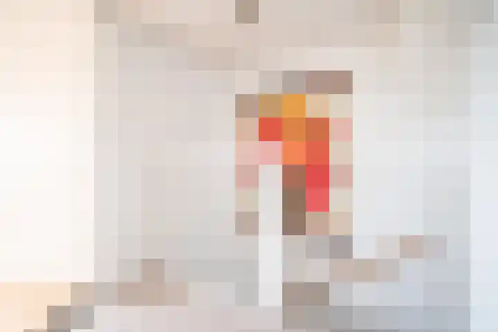 Schildmos 16 Bergschenhoek thumbnail 42