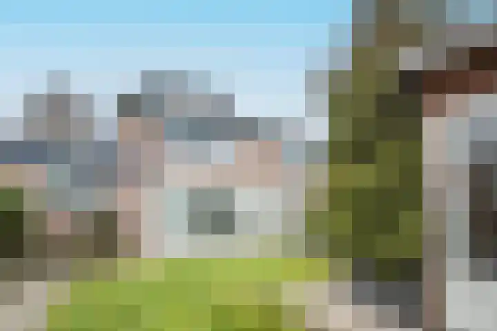 Schildmos 16 Bergschenhoek thumbnail 43