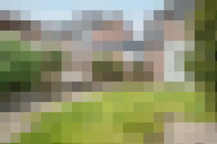 Schildmos 16 Bergschenhoek thumbnail 44