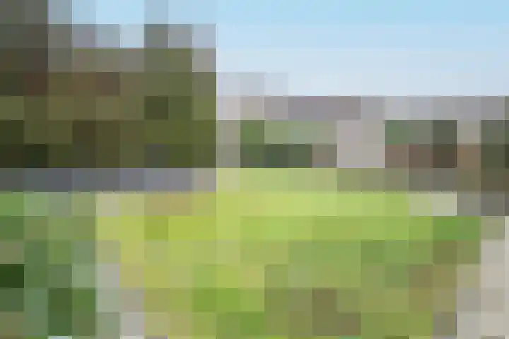 Schildmos 16 Bergschenhoek thumbnail 45