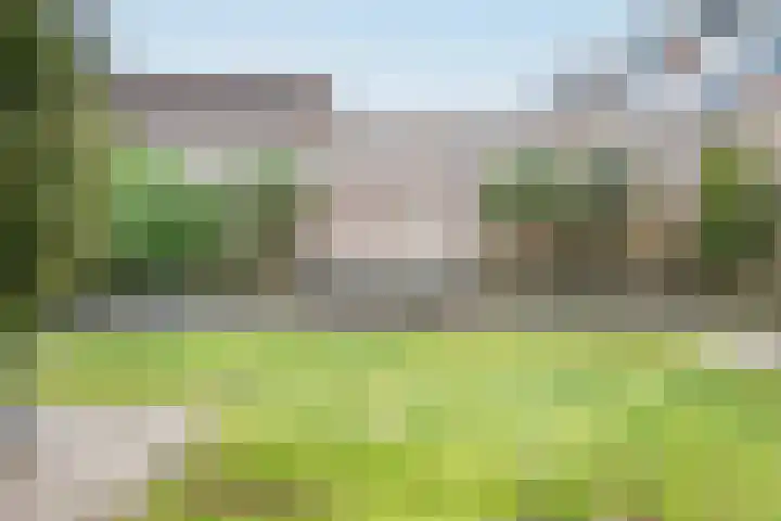Schildmos 16 Bergschenhoek thumbnail 46