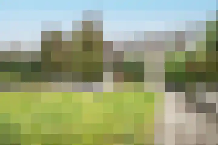 Schildmos 16 Bergschenhoek thumbnail 47
