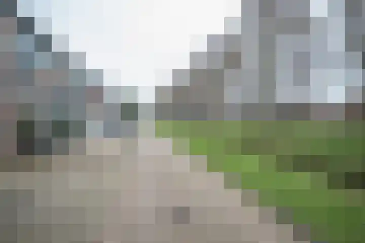 Schildmos 16 Bergschenhoek thumbnail 49
