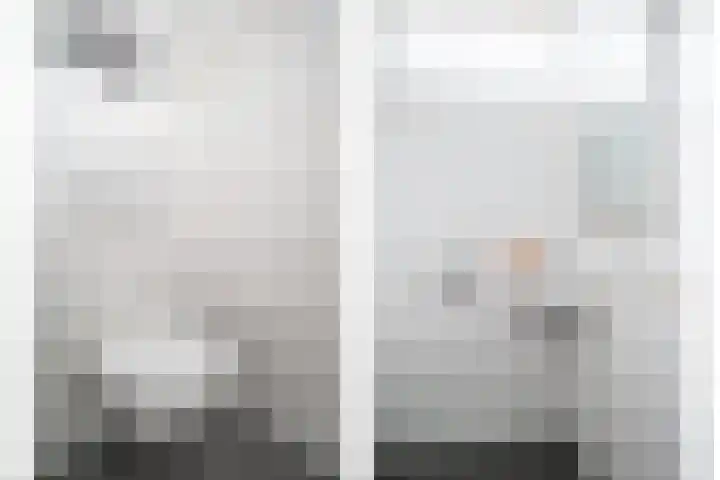 Schildmos 16 Bergschenhoek thumbnail 6