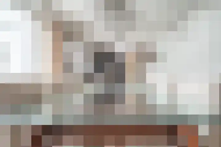 Schildmos 16 Bergschenhoek thumbnail 9
