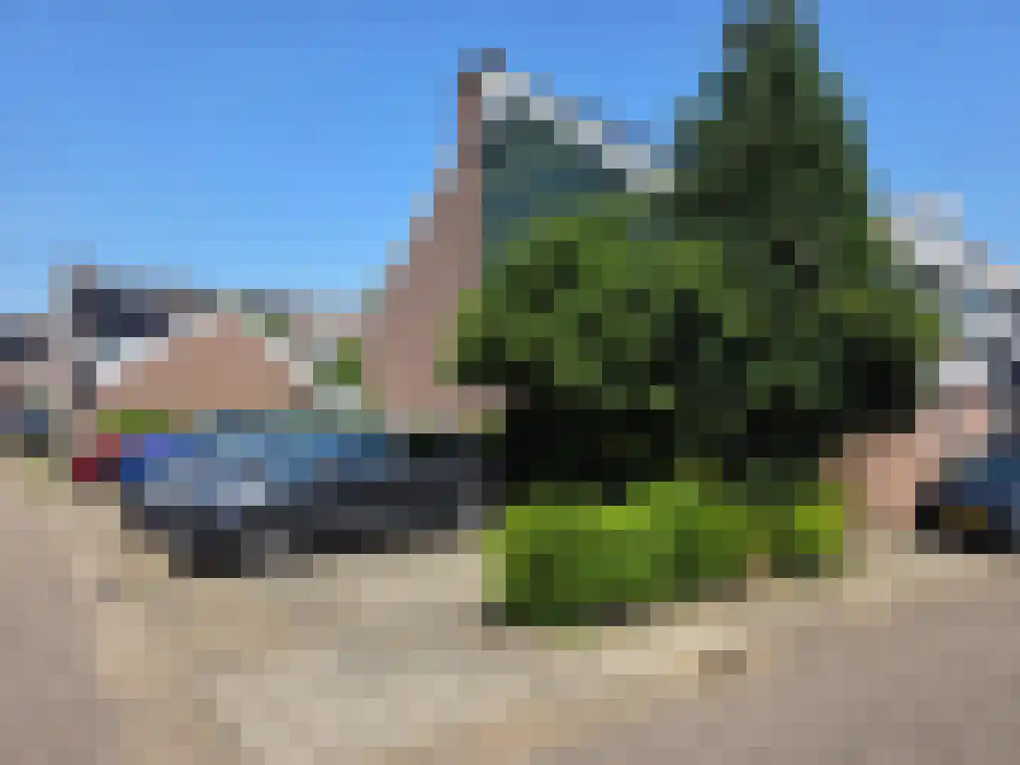 Schildmos 22 Nieuwerkerk aan den IJssel thumbnail 10