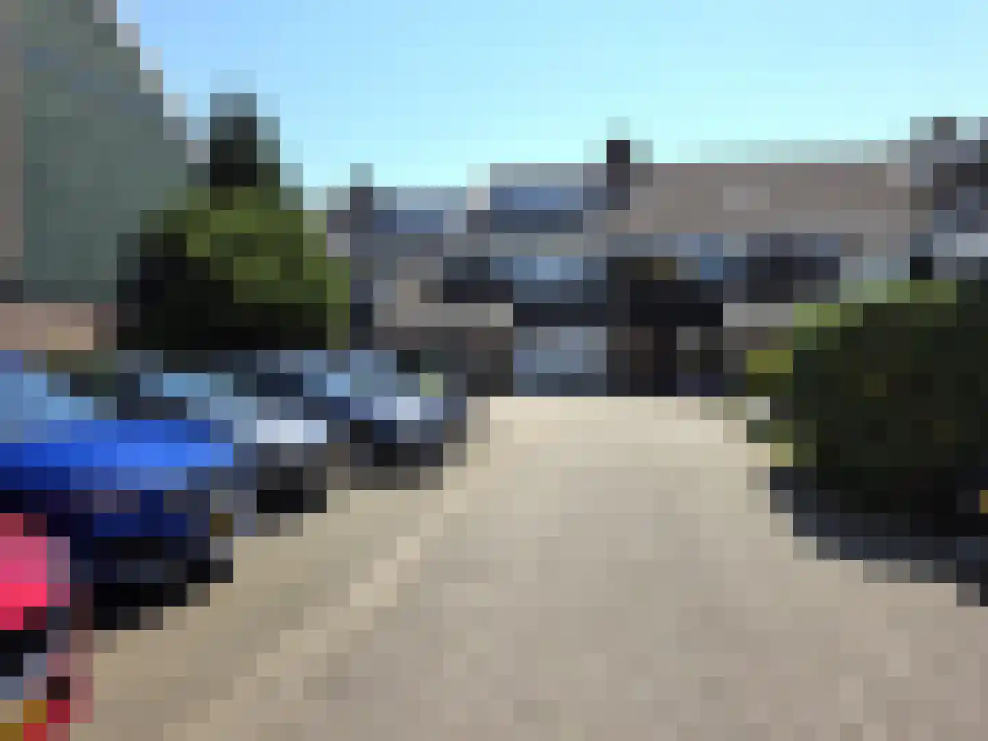 Schildmos 22 Nieuwerkerk aan den IJssel thumbnail 11