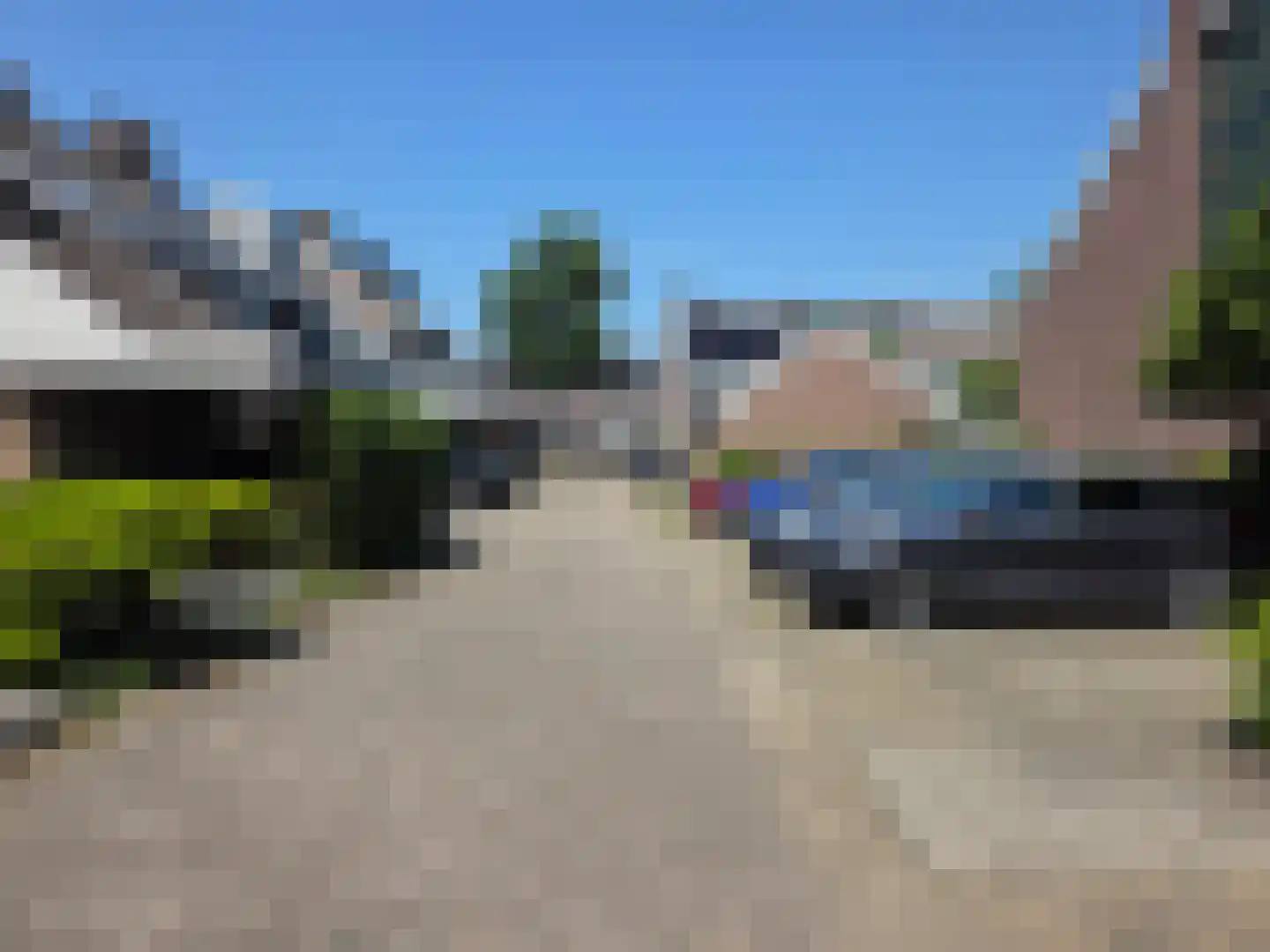 Schildmos 22 Nieuwerkerk aan den IJssel thumbnail 12