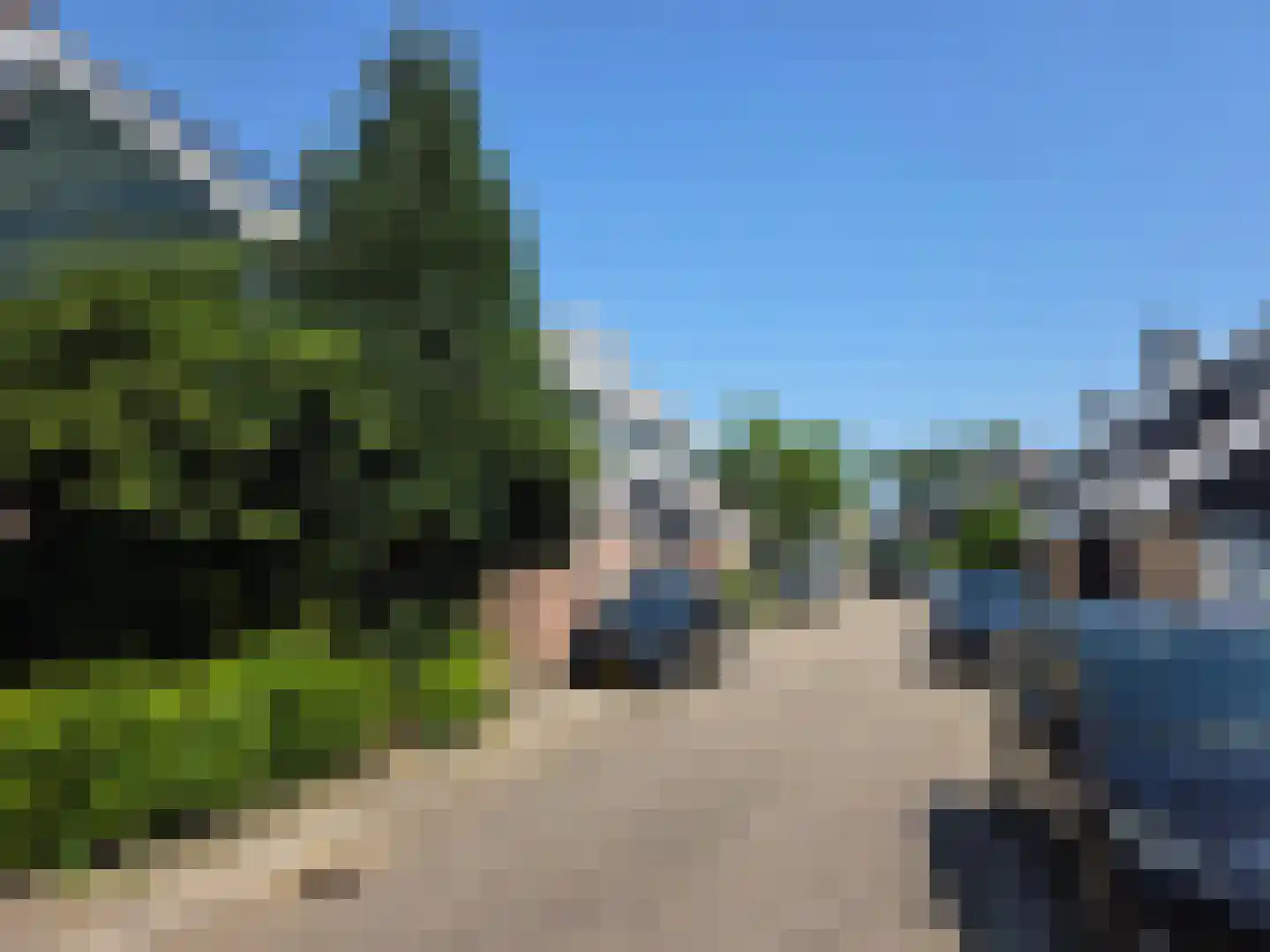 Schildmos 22 Nieuwerkerk aan den IJssel thumbnail 13