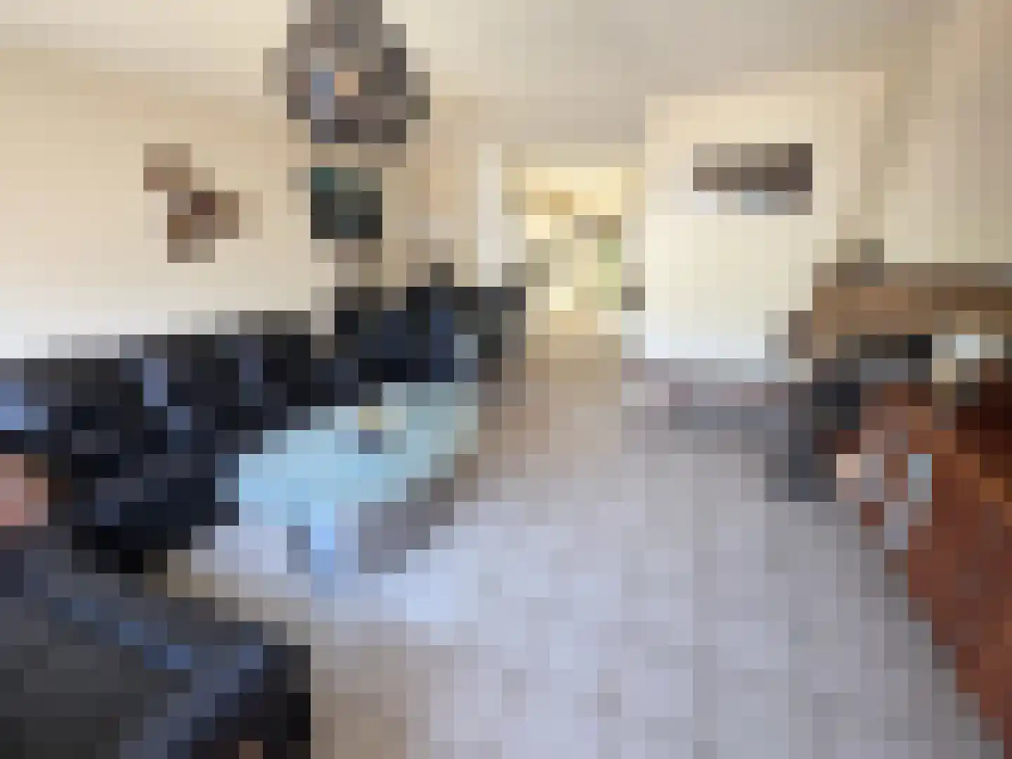 Schildmos 22 Nieuwerkerk aan den IJssel thumbnail 14