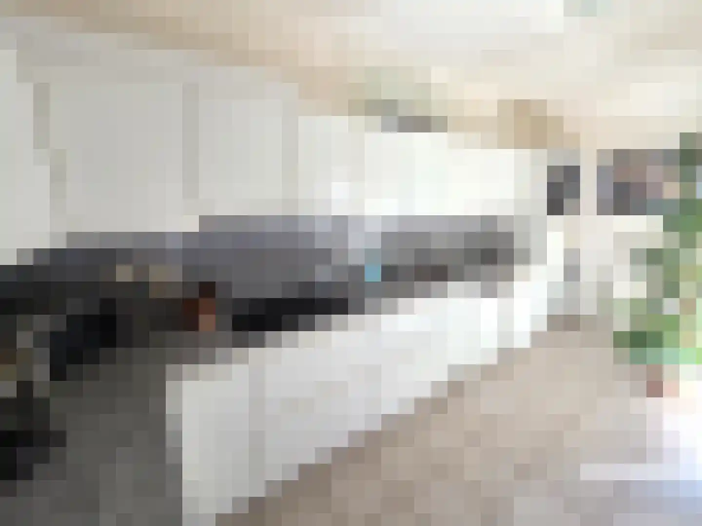 Schildmos 22 Nieuwerkerk aan den IJssel thumbnail 20