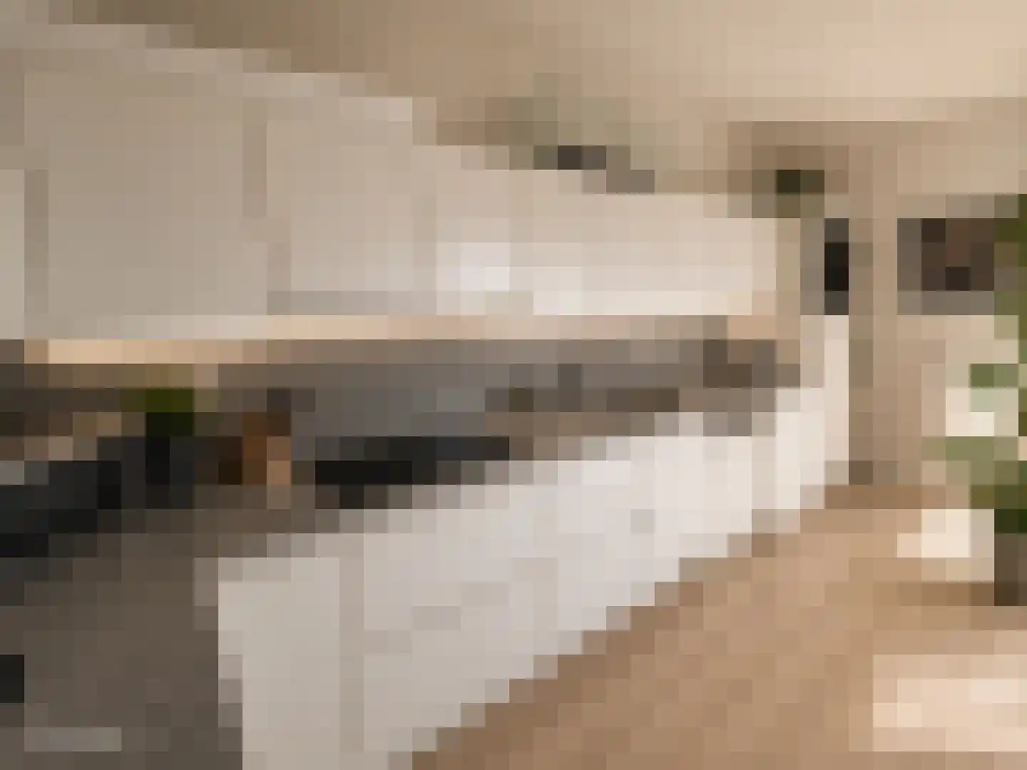 Schildmos 22 Nieuwerkerk aan den IJssel thumbnail 21