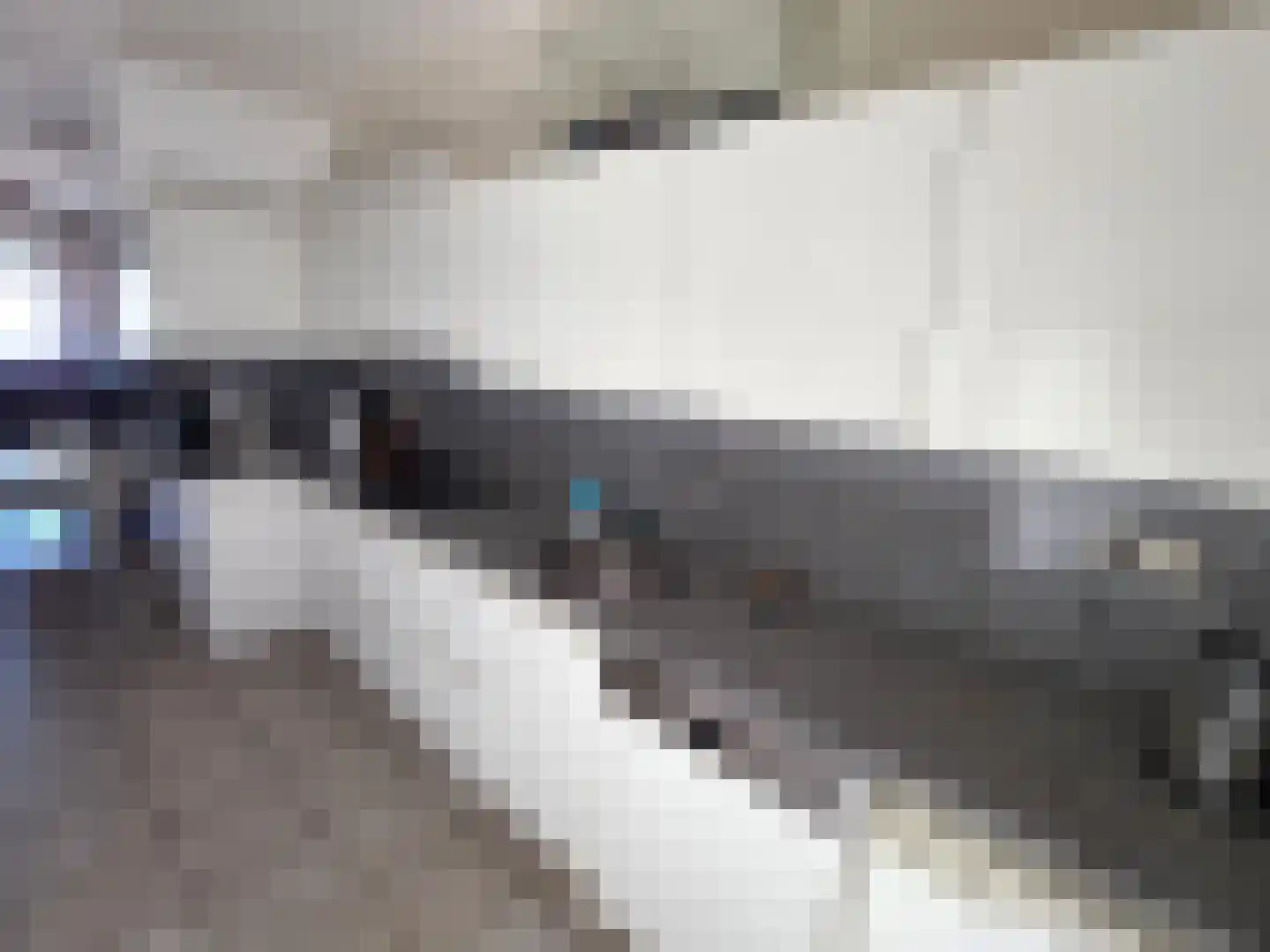Schildmos 22 Nieuwerkerk aan den IJssel thumbnail 22