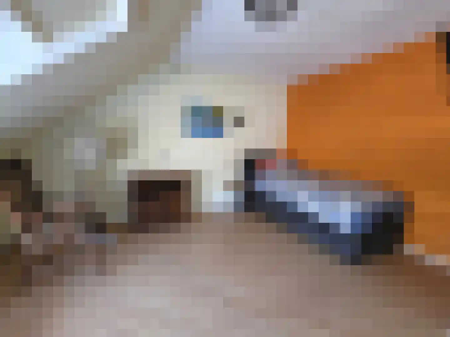 Schildmos 22 Nieuwerkerk aan den IJssel thumbnail 23