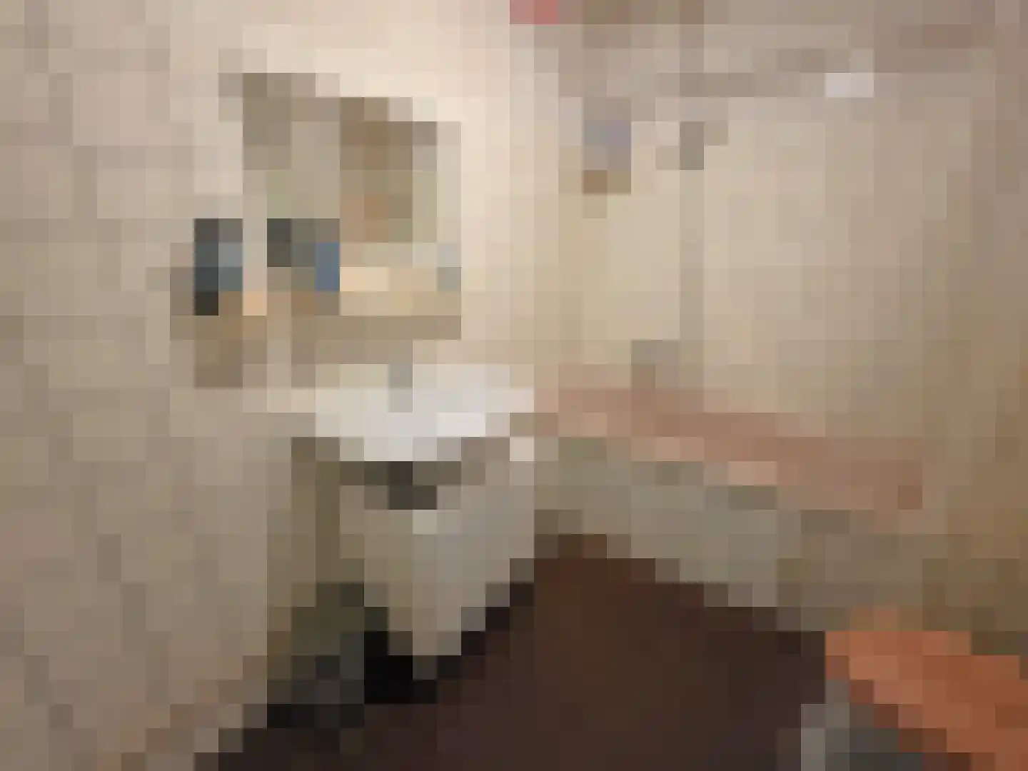 Schildmos 22 Nieuwerkerk aan den IJssel thumbnail 27