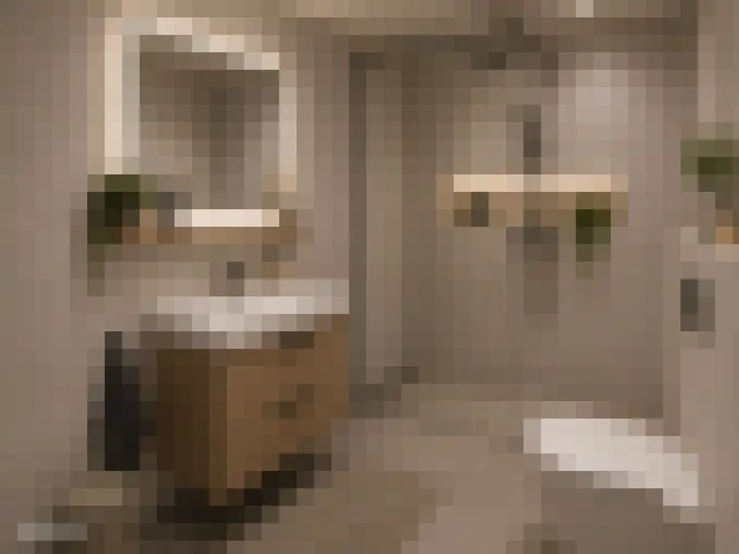 Schildmos 22 Nieuwerkerk aan den IJssel thumbnail 28