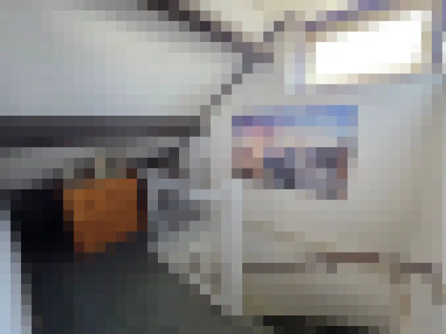 Schildmos 22 Nieuwerkerk aan den IJssel thumbnail 29