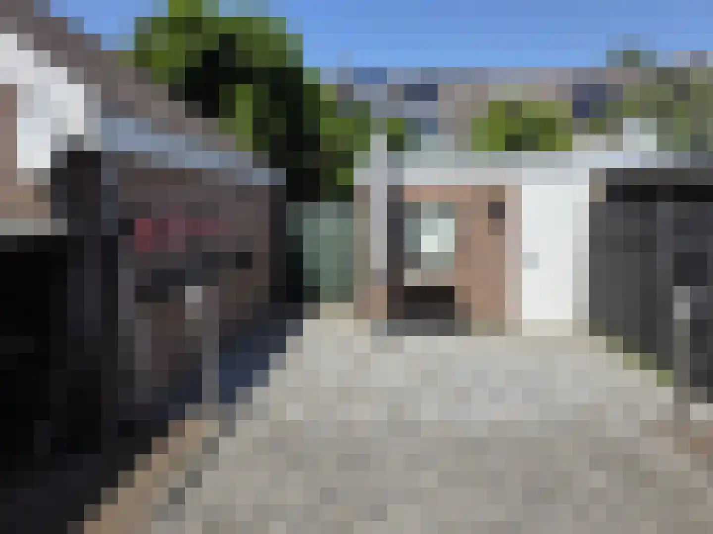 Schildmos 22 Nieuwerkerk aan den IJssel thumbnail 5