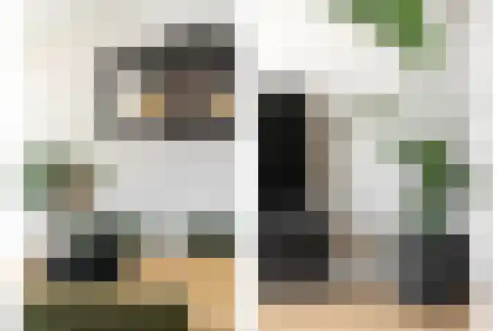 Schildmos 44 Alblasserdam thumbnail 13