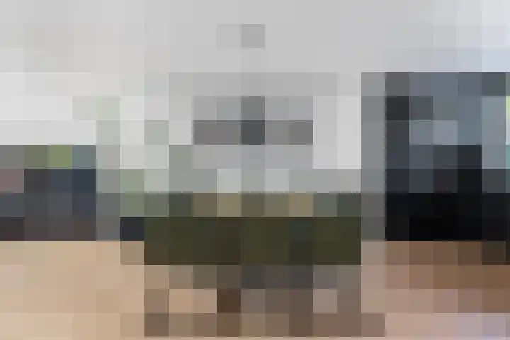 Schildmos 44 Alblasserdam thumbnail 15