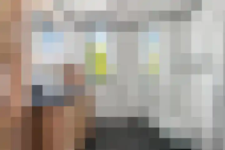 Schildmos 44 Alblasserdam thumbnail 29