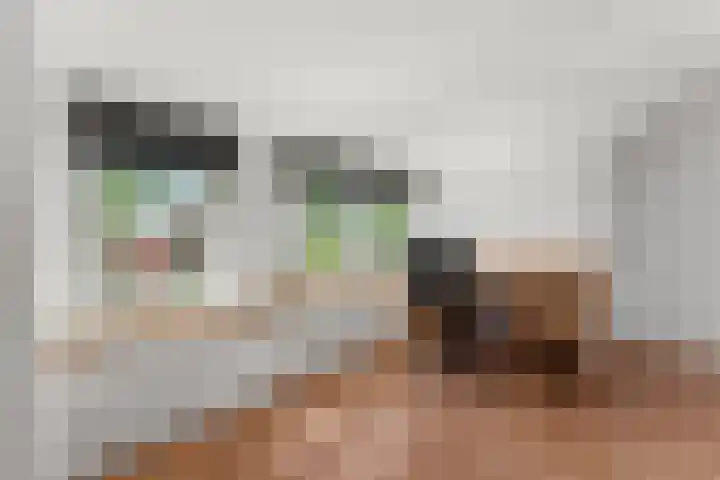 Schildmos 44 Alblasserdam thumbnail 35