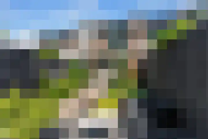 Schildmos 44 Alblasserdam thumbnail 37