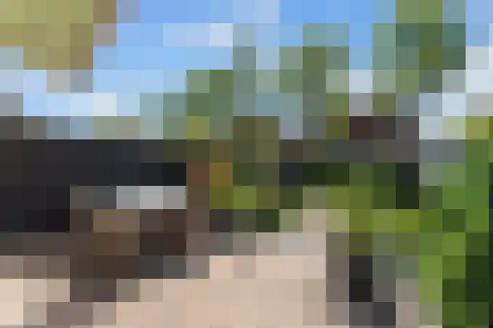 Schildmos 44 Alblasserdam thumbnail 39