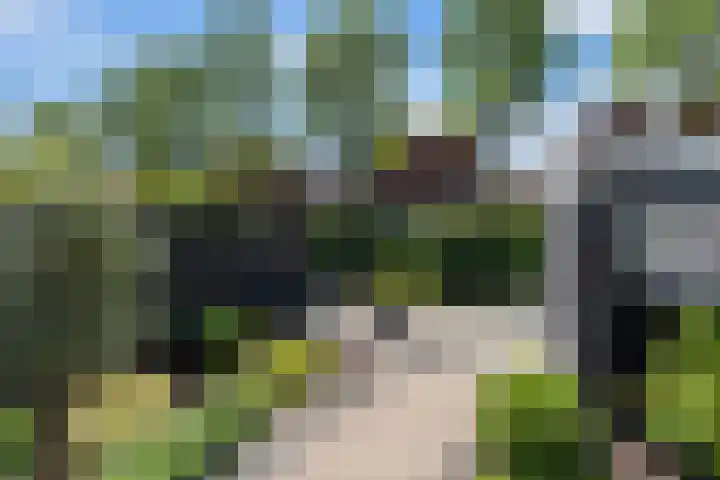 Schildmos 44 Alblasserdam thumbnail 41