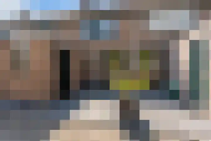 Schildmos 44 Alblasserdam thumbnail 46
