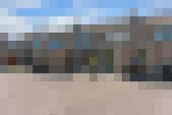 Schildmos 44 Alblasserdam thumbnail 47