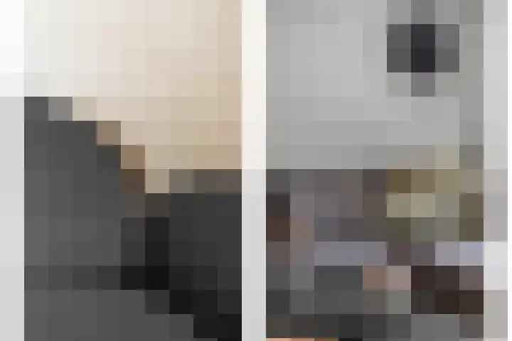 Schildmos 44 Alblasserdam thumbnail 5