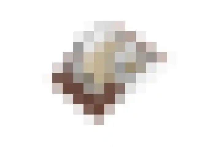 Schildmos 44 Alblasserdam thumbnail 54