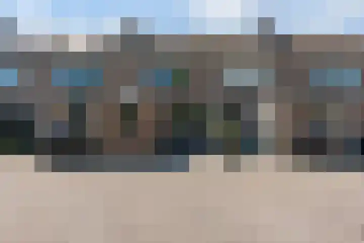 Schildmos 44 Alblasserdam thumbnail 57