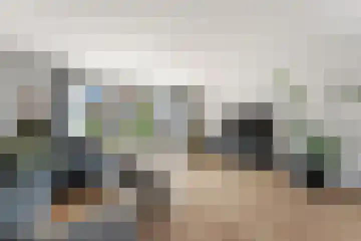 Schildmos 44 Alblasserdam thumbnail 6