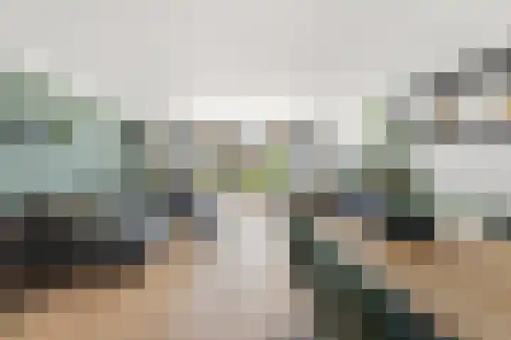 Schildmos 44 Alblasserdam thumbnail 9